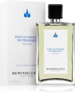 Sous un Mimosa de Provence — изображение 2