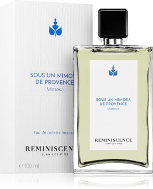 Sous un Mimosa de Provence — изображение 2