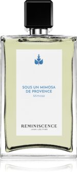 Sous un Mimosa de Provence