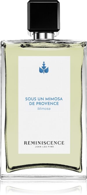 Sous un Mimosa de Provence — изображение 1