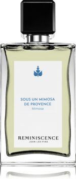 Sous un Mimosa de Provence