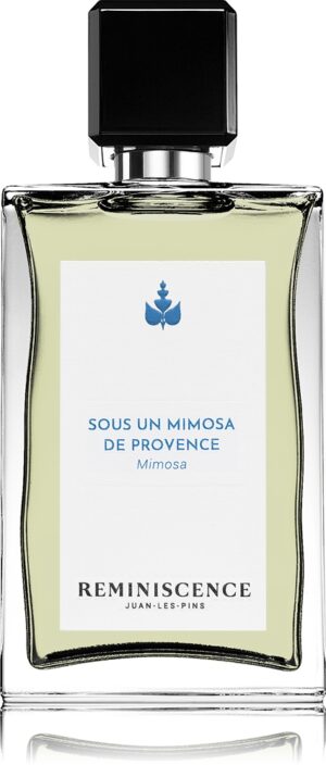 Sous un Mimosa de Provence — изображение 1