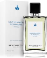Sous un Mimosa de Provence — изображение 2