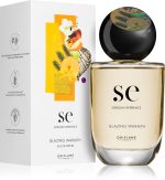 Swedish Experience Blazing Warmth — изображение 2