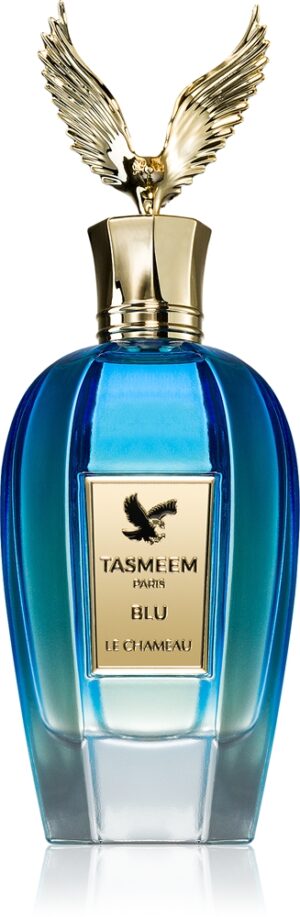 Tasmeem Paris Blue — изображение 1