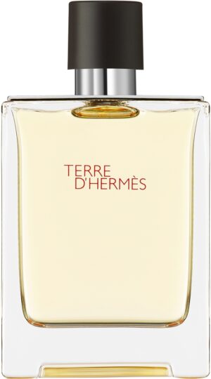 Terre d’Hermès — изображение 1