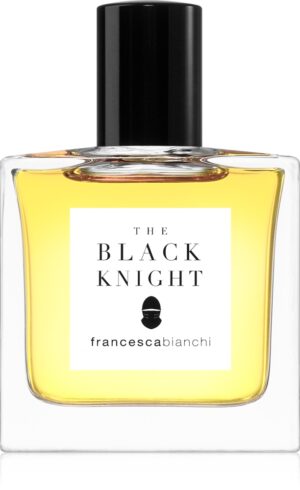 The Black Knight — изображение 1