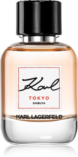 Tokyo Shibuya — изображение 1