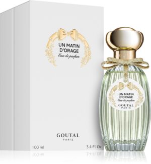 Un Matin D'Orage — изображение 2