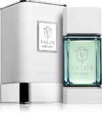 Valor Chivalry — изображение 2