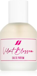 Velvet Blossom