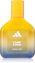 Vibes Chill Zone