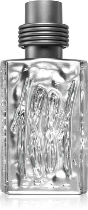 1881 Silver — изображение 1