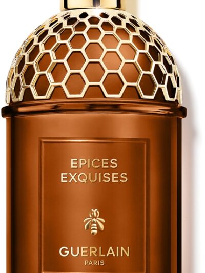 Absolus Allegoria Epices Exquises