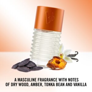 Absolute Man — изображение 2