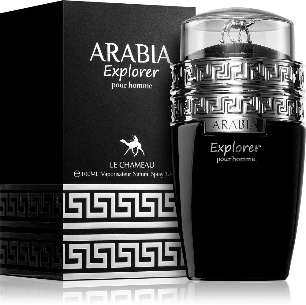 Arabia Explorer — изображение 2