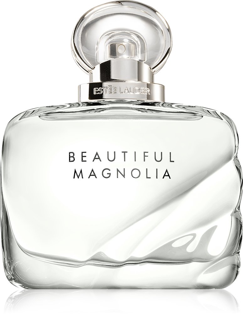 Beautiful Magnolia — изображение 1