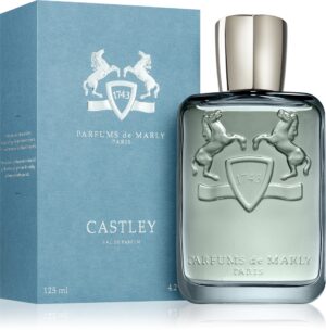 Castley — изображение 2