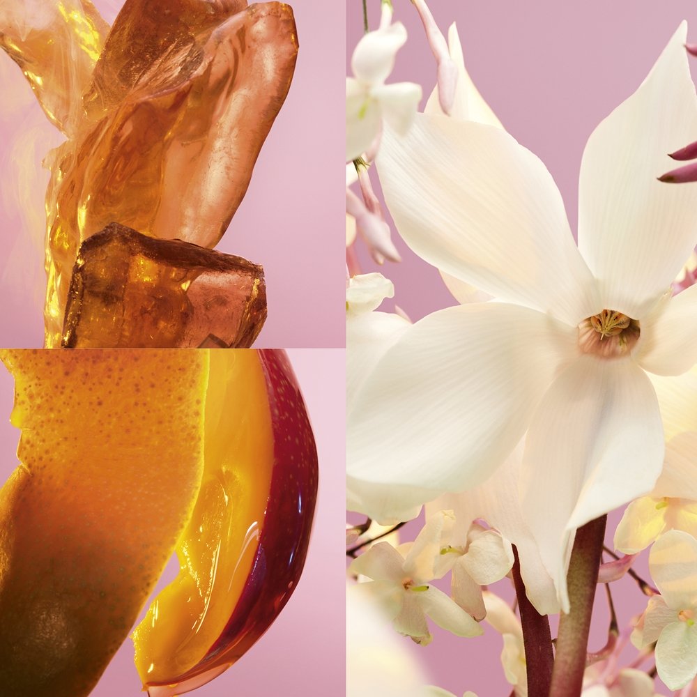 Fame — изображение 2