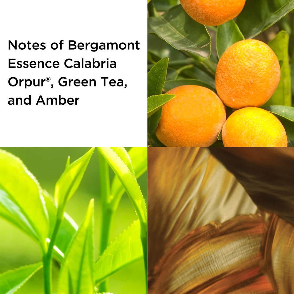 Green Tea — изображение 2