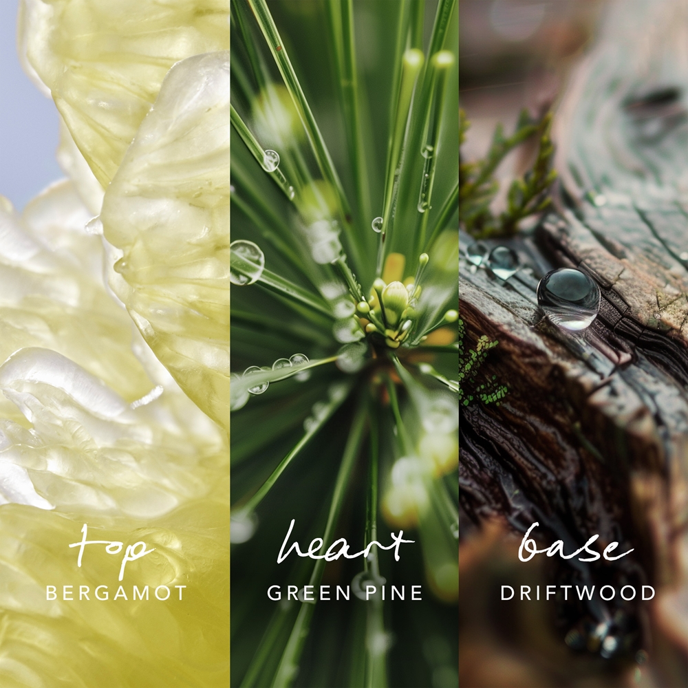 Inspired Nature — изображение 2