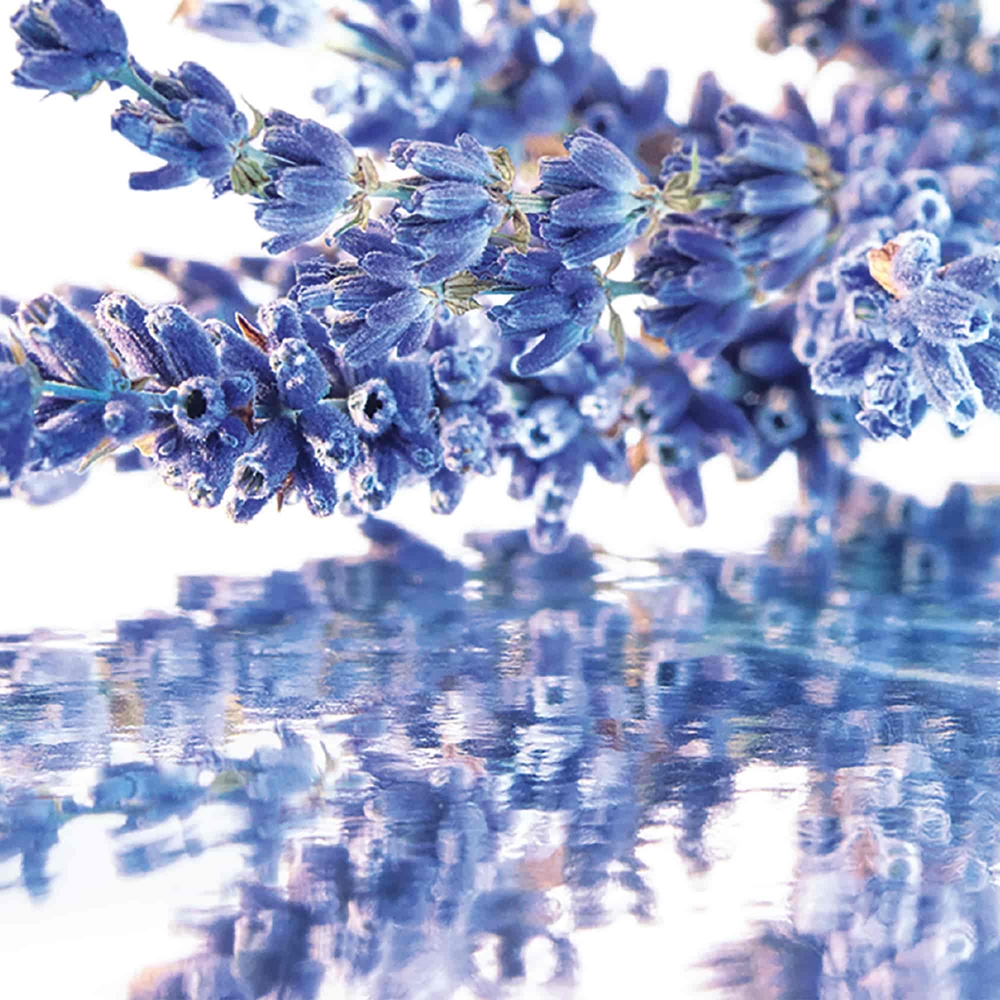 Mon Guerlain — изображение 2