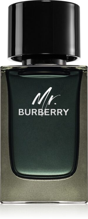Mr. Burberry — изображение 1