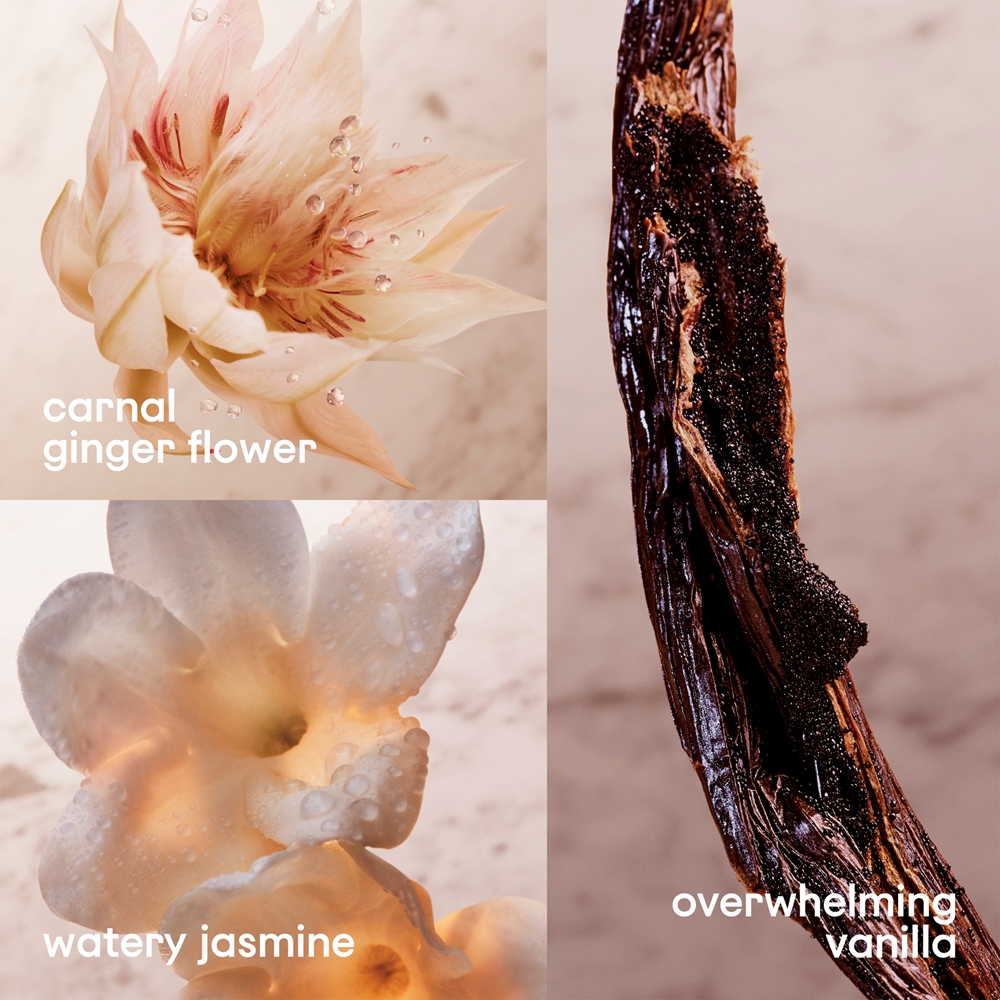 Olympéa — изображение 2