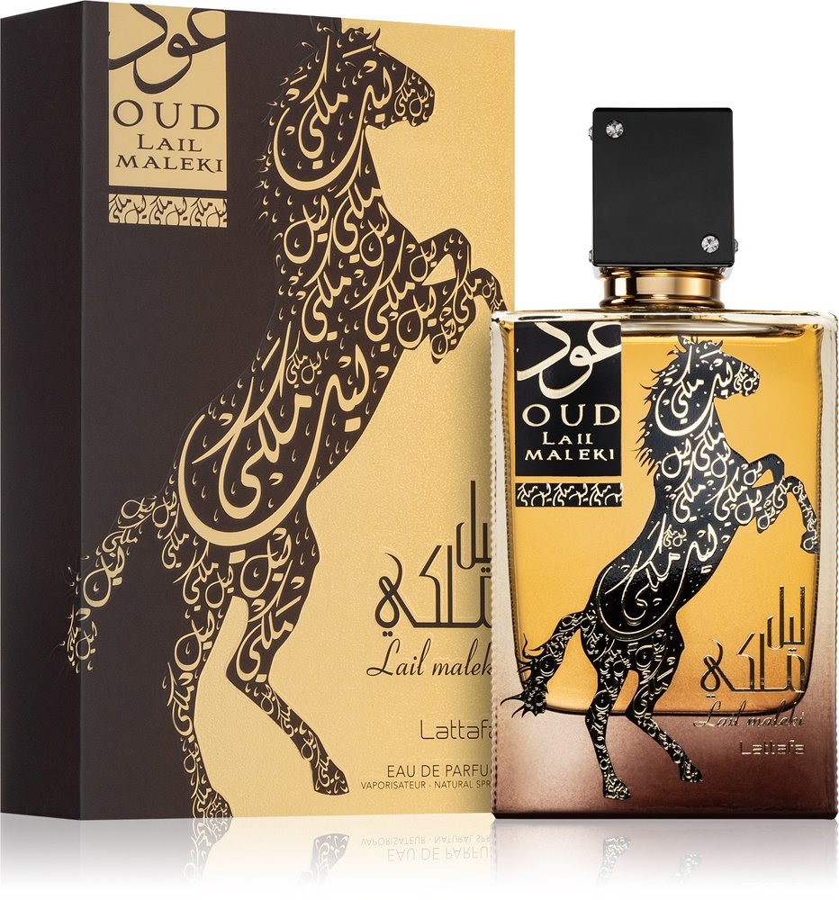 Oud Lail Maleki — изображение 2