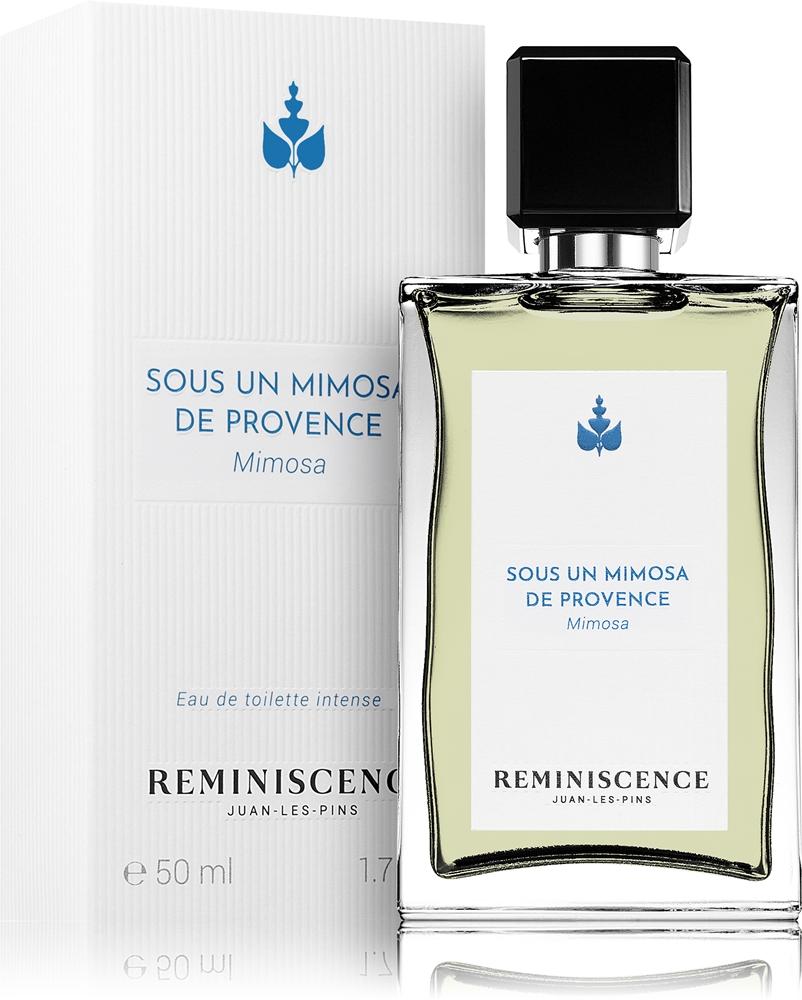 Sous un Mimosa de Provence — изображение 2