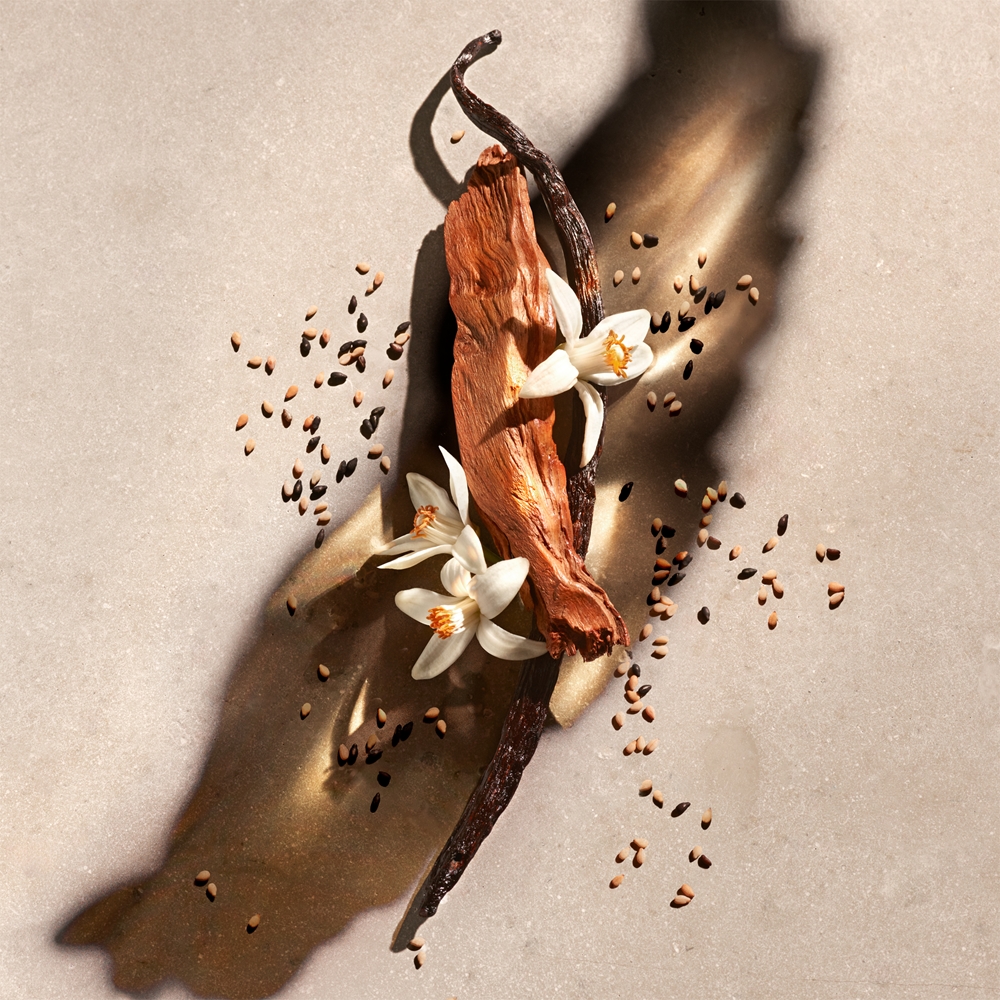 ZADIG — изображение 2