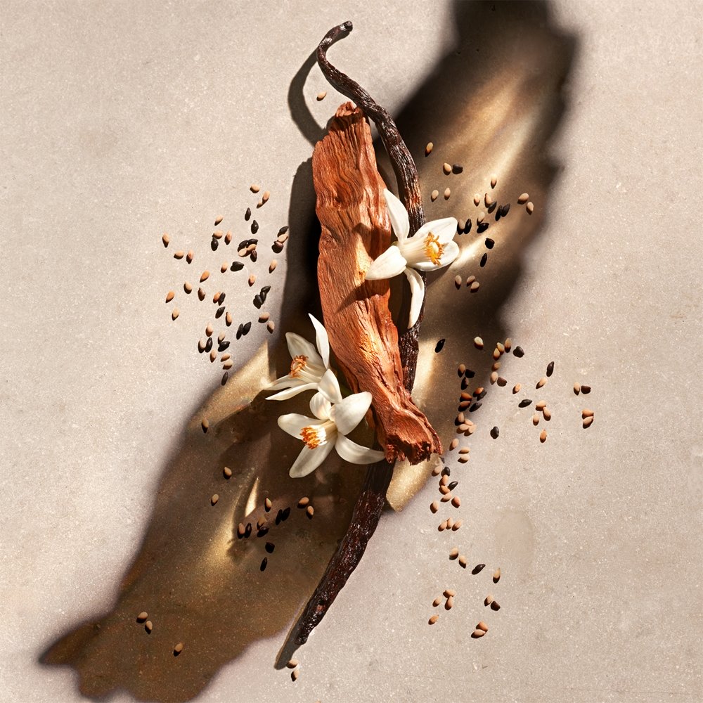 ZADIG — изображение 2